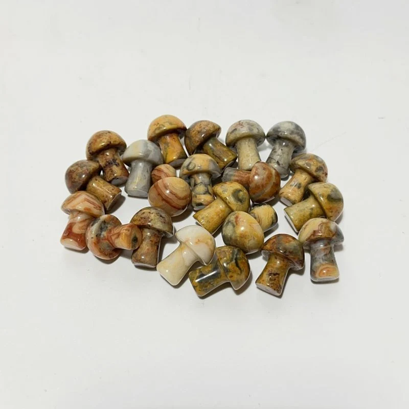10 Types Mini Crystal Mushroom Wholesale - Image 24