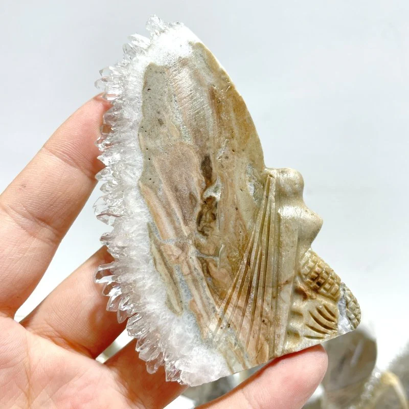 11 Pieces Clear Quartz Cluster Butterfly Fairy Carving - Image 3