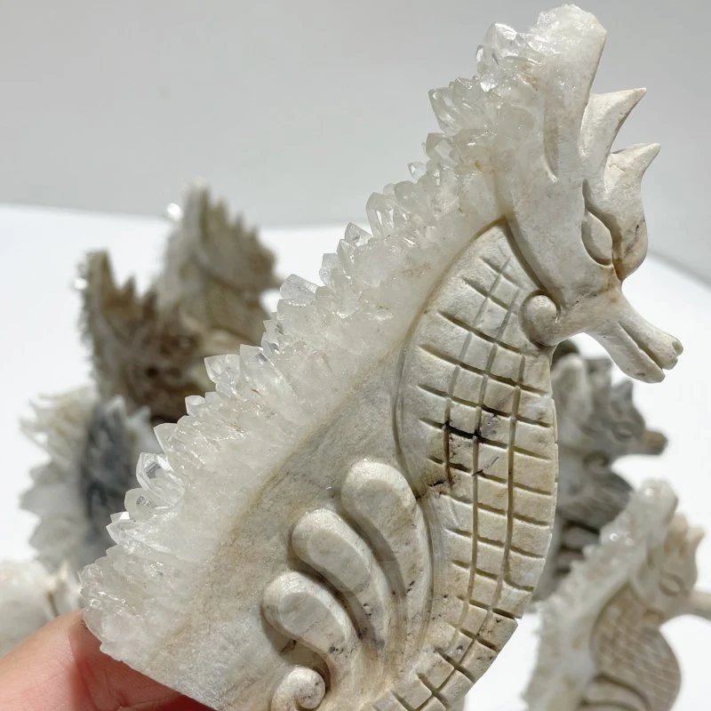 11 Pieces Clear Quartz Cluster Seahorse Carving - Image 6