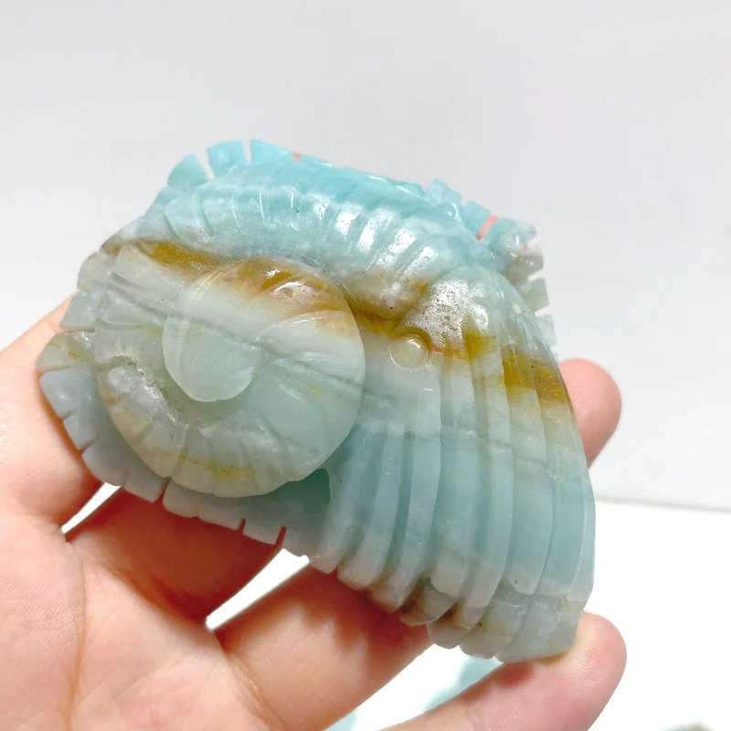 15 Pieces Caribbean Calcite Sea Animals Carving - Image 4