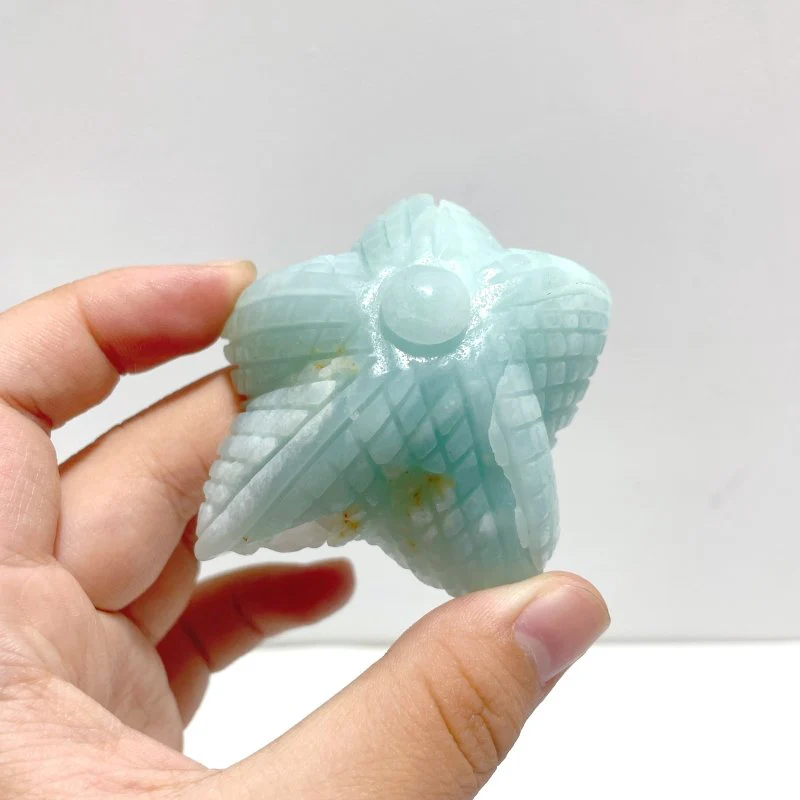 15 Pieces Caribbean Calcite Sea Animals Carving - Image 5