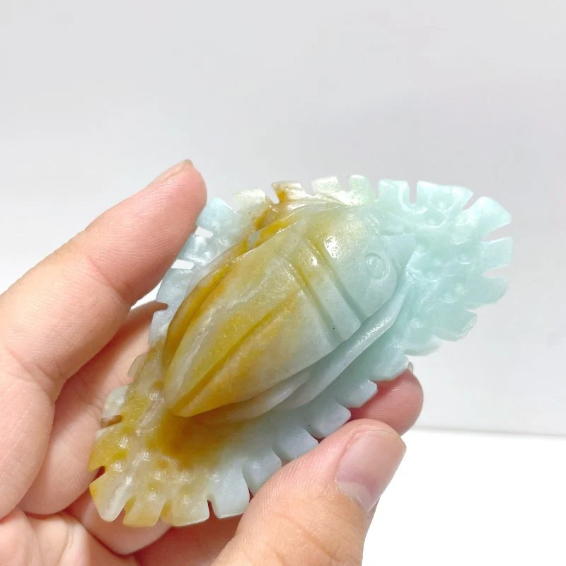 15 Pieces Caribbean Calcite Sea Animals Carving - Image 6