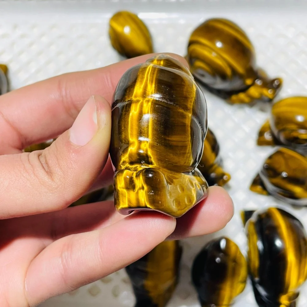16 Pieces High Quality Tiger Eye Snails Carving - Image 3