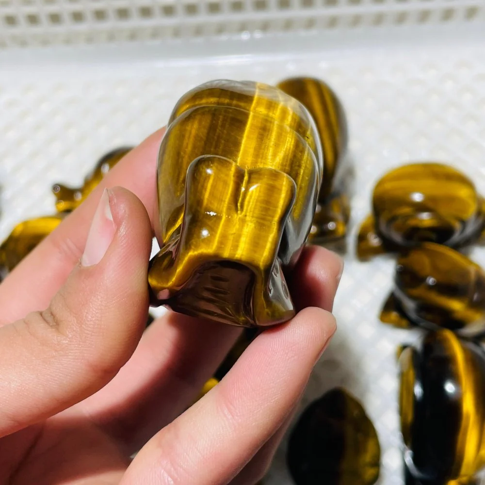 16 Pieces High Quality Tiger Eye Snails Carving - Image 5