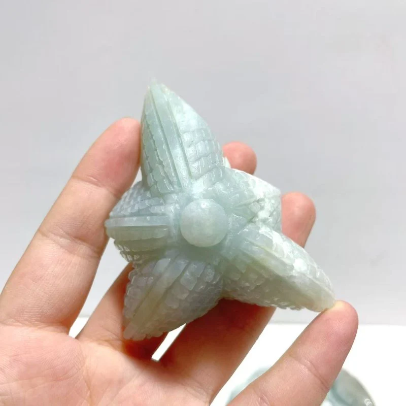 20 Pieces Caribbean Calcite Sea Animals Carving - Image 3