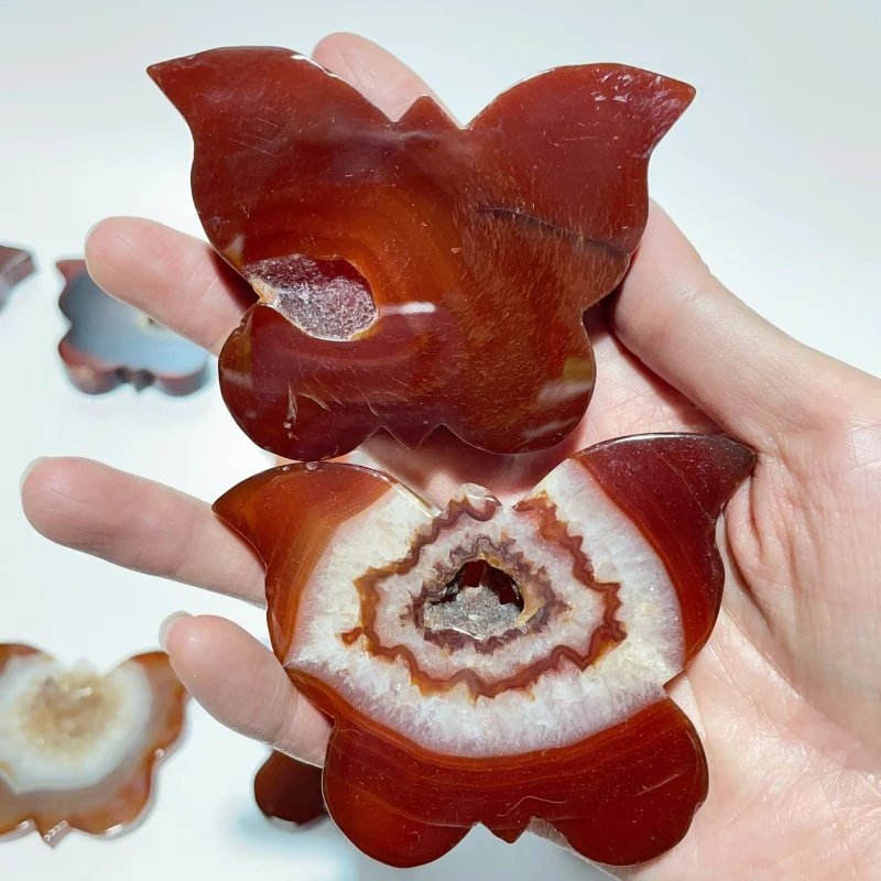 16 Pieces Carnelian Geode Druzy Butterfly Carving - Image 6