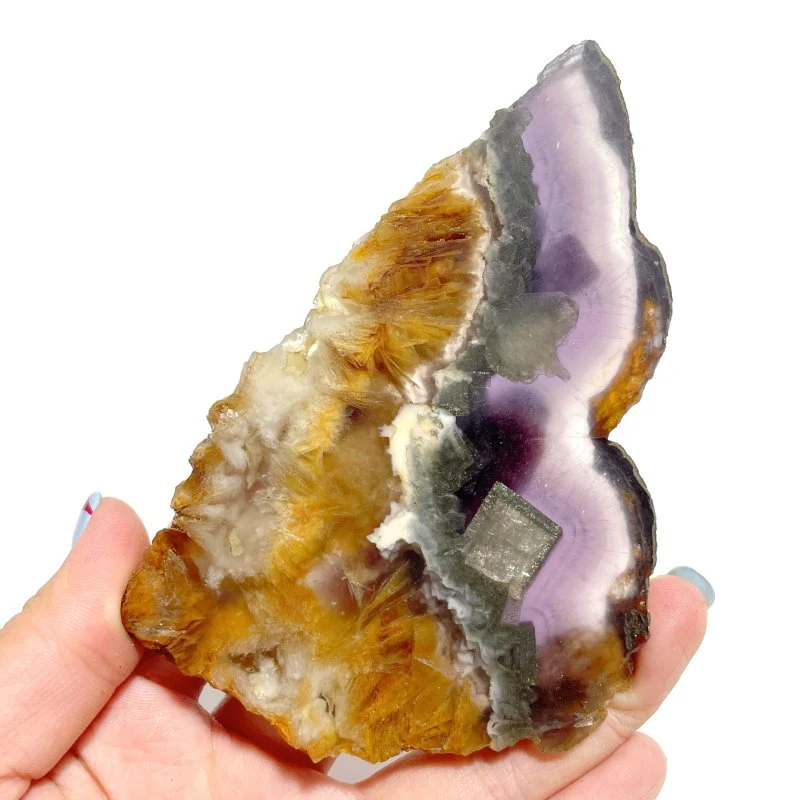 2 Pairs Fluorite Mixed Pyrite Butterfly Wing With Stand #3 - Image 3