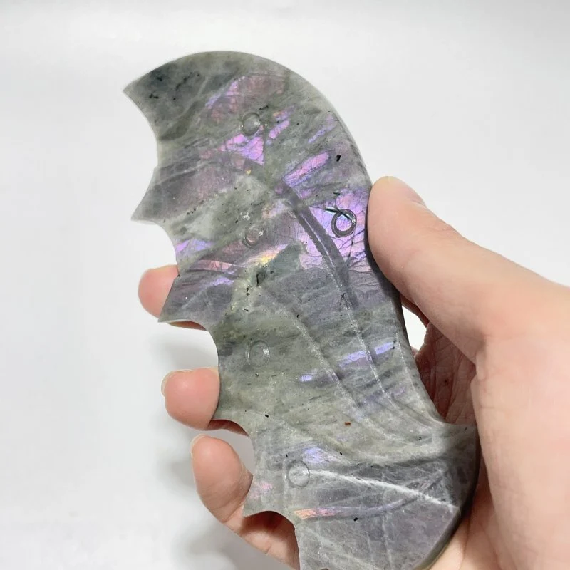 2 Pairs  Labradorite Flying Dragon Wing With Stand - Image 7
