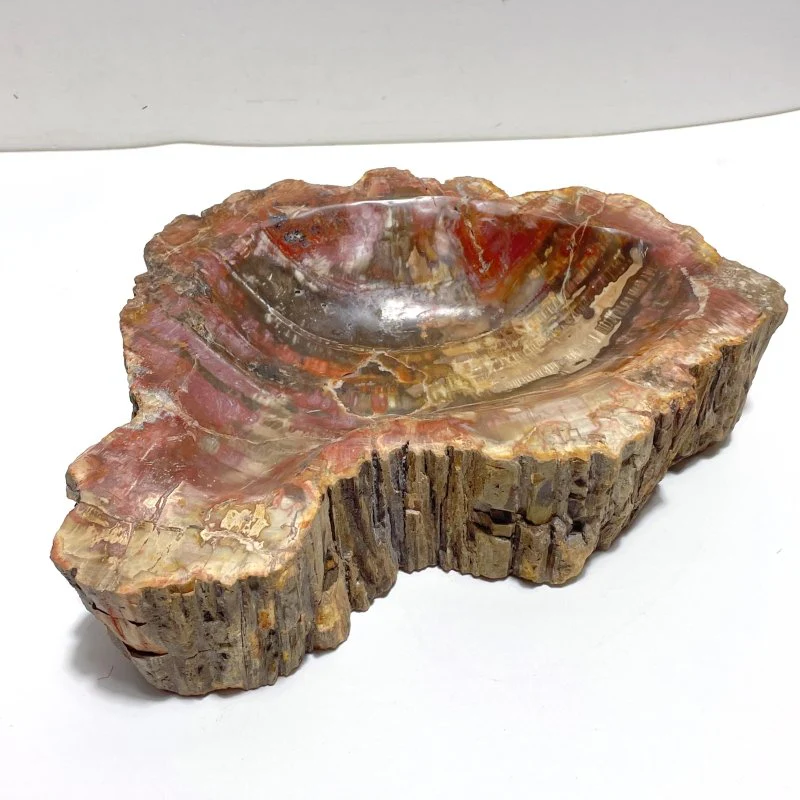 2 Pieces Large Petrified Wood Bowl - Image 3