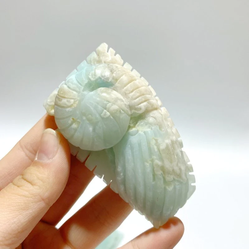 23 Pieces Caribbean Calcite Sea Animals Carving - Image 5