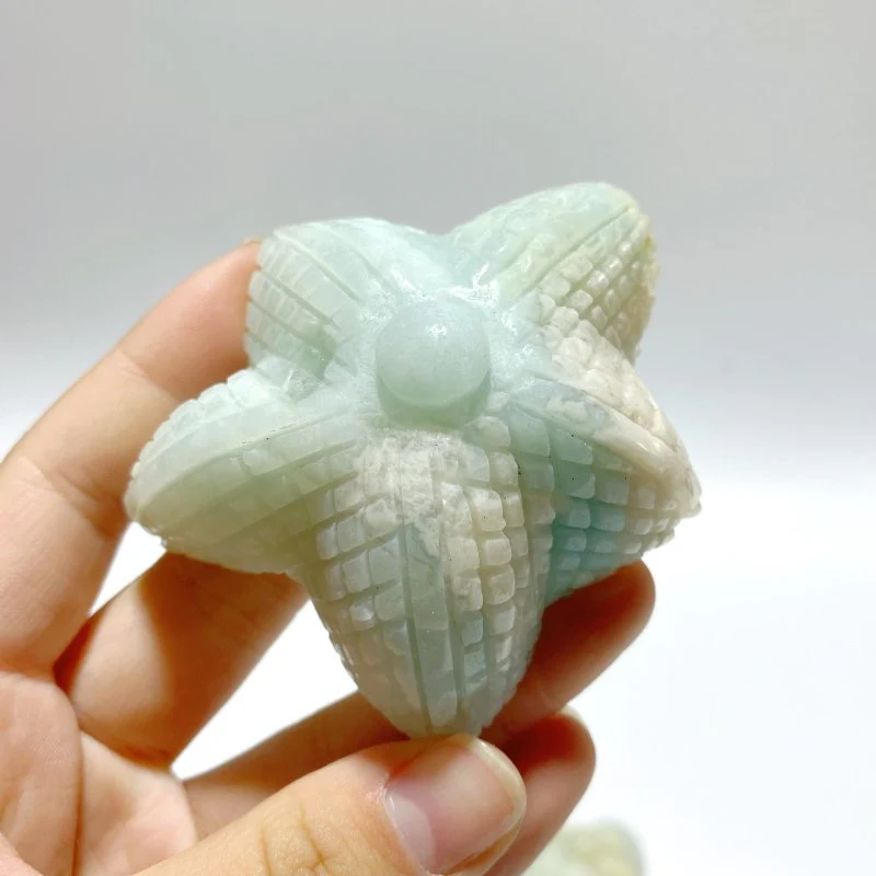 23 Pieces Caribbean Calcite Sea Animals Carving - Image 6