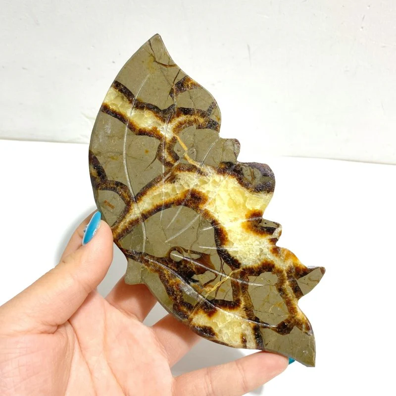 4 Pairs Septarian Butterfly Wing Carving With Stand #1 - Image 4