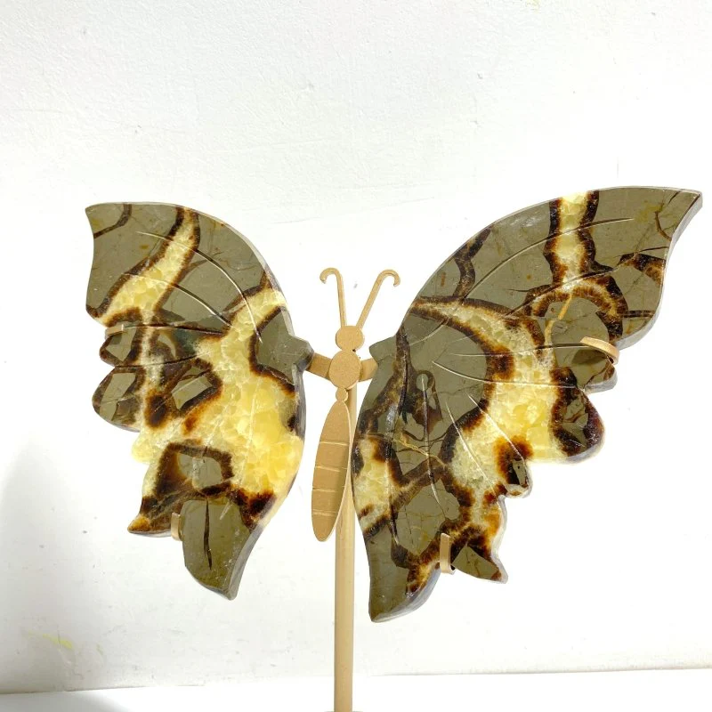 4 Pairs Septarian Butterfly Wing Carving With Stand #1 - Image 7