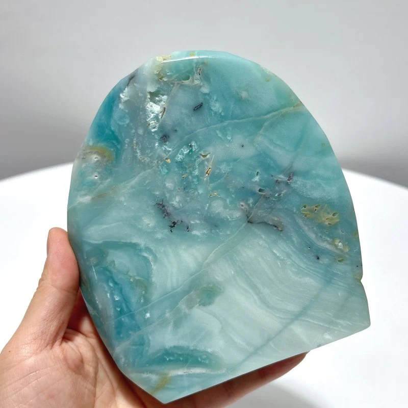 2 Pieces High Quality Caribbean Calcite Sea Animals Carving - Image 4