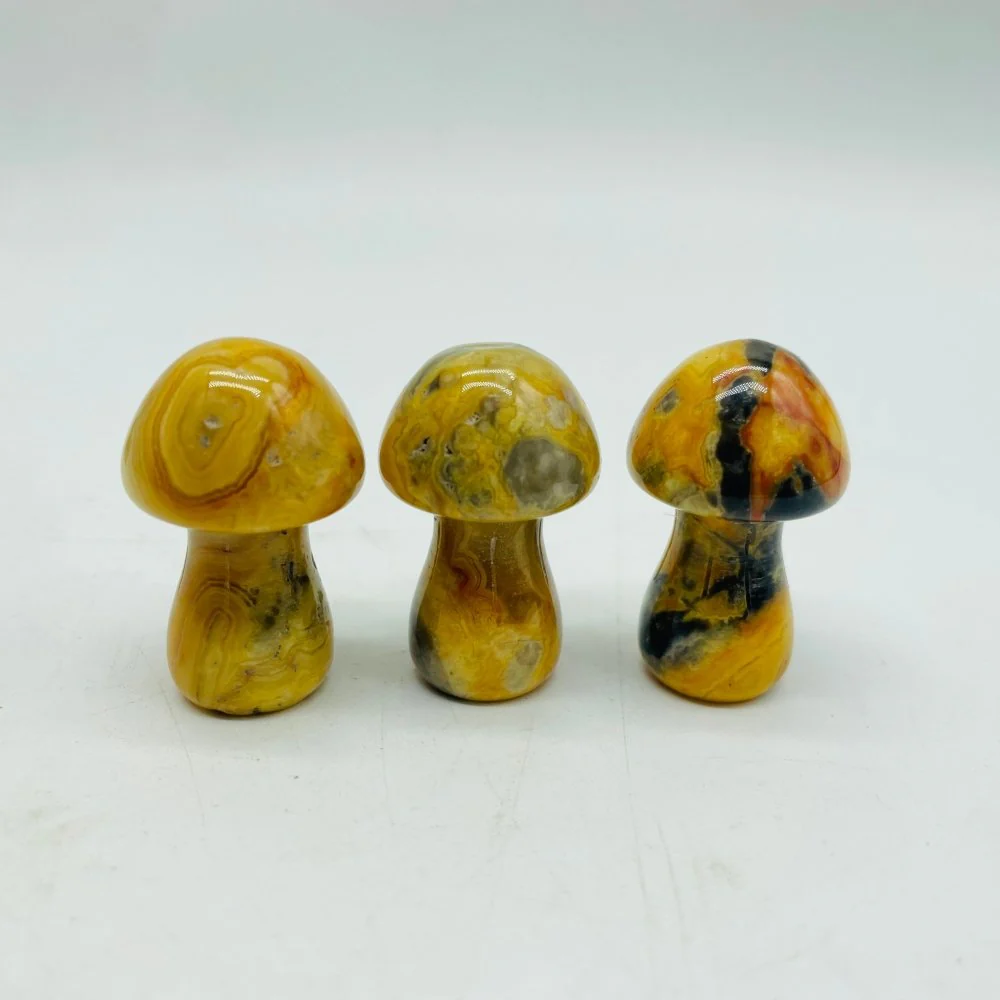 3 Types Mushroom Caribbean & Crazy Agate & Chevron Amethyst Wholesale - Image 5