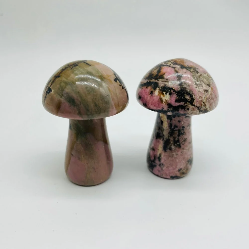 3 Types Mushroom Pyrite & Rhodonite & Ocean Jasper Wholesale - Image 3