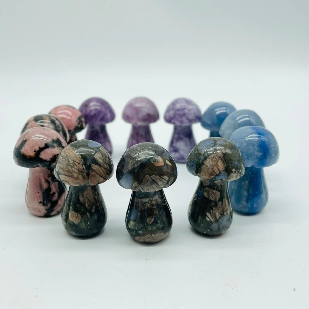 4 Types Mushroom Lepidolite & Rhodonite & Que Sera Wholesale