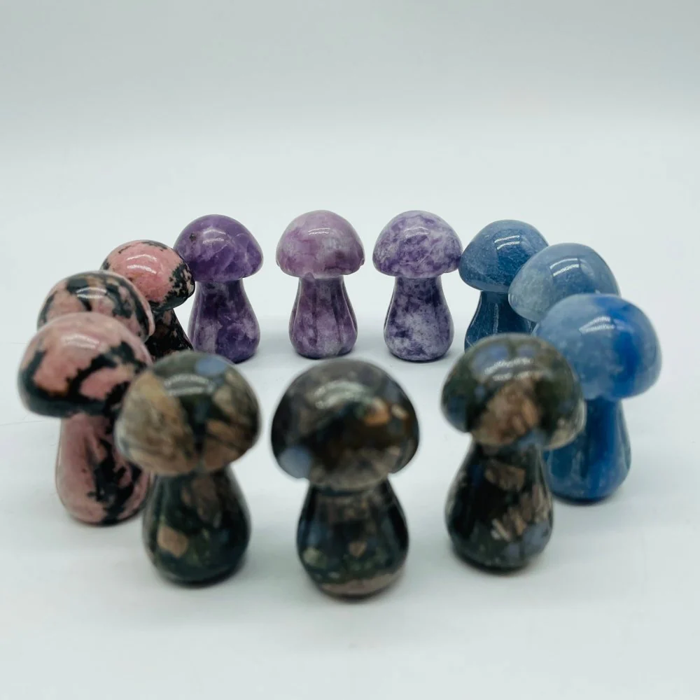 4 Types Mushroom Lepidolite & Rhodonite & Que Sera Wholesale - Image 2