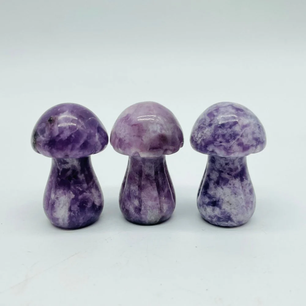 4 Types Mushroom Lepidolite & Rhodonite & Que Sera Wholesale - Image 3