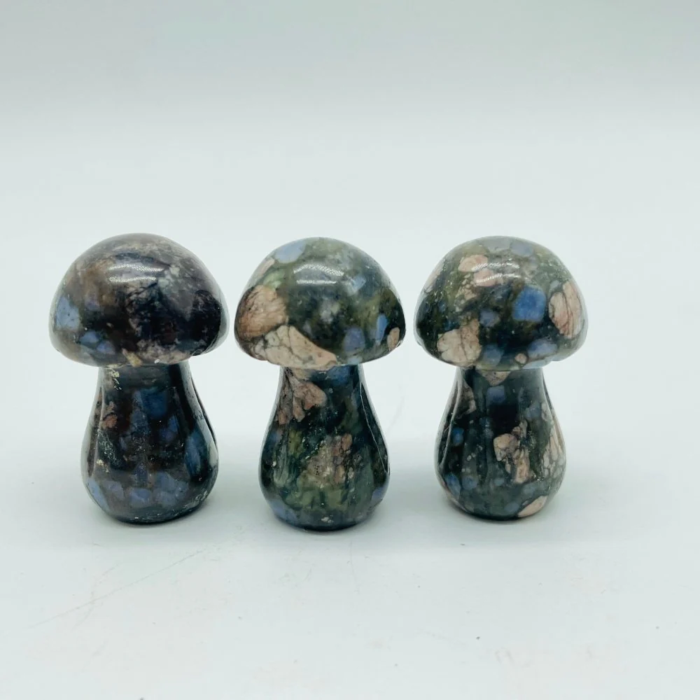 4 Types Mushroom Lepidolite & Rhodonite & Que Sera Wholesale - Image 5