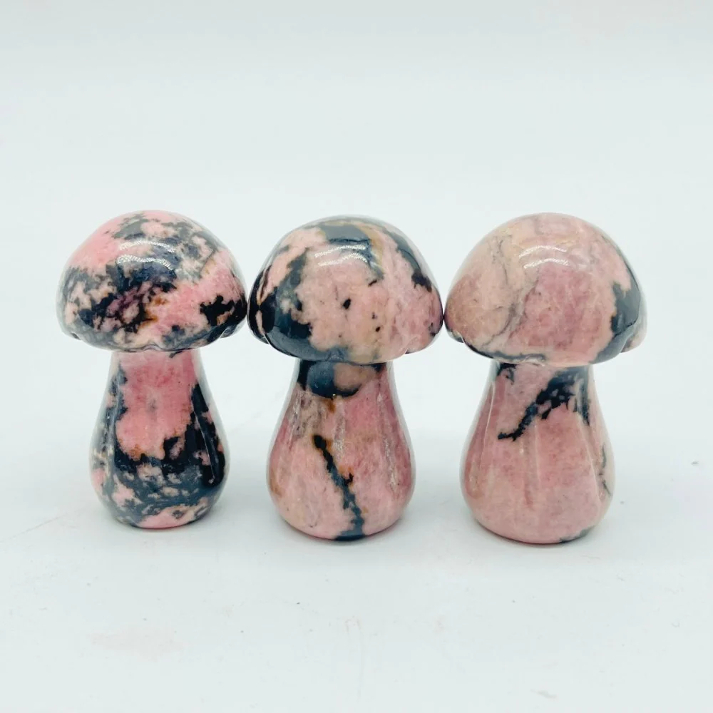 4 Types Mushroom Lepidolite & Rhodonite & Que Sera Wholesale - Image 6