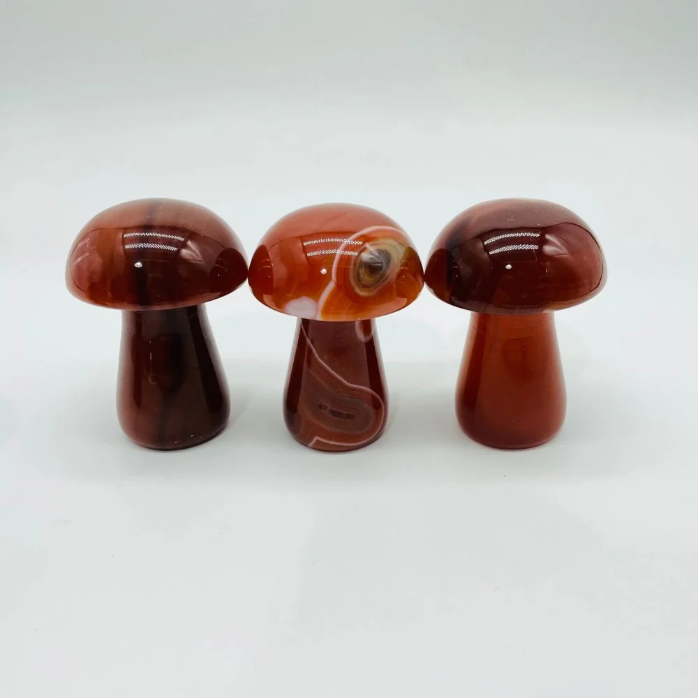 4Types Mushroom Lepidolite & Caribbean Carnelian Wholesale - Image 6