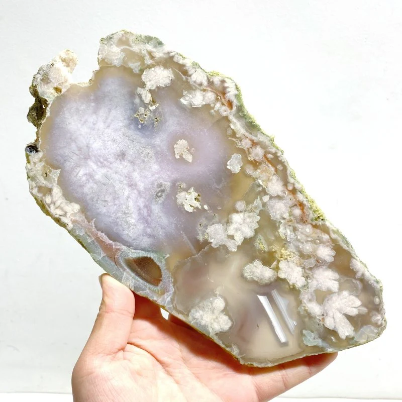 5 Pieces Beautiful Large Green Sakura Flower Agate Slabs - Image 2
