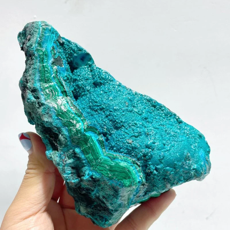 5 Pieces Chrysocolla Mixed Malachite Raw Stone Specimen - Image 4