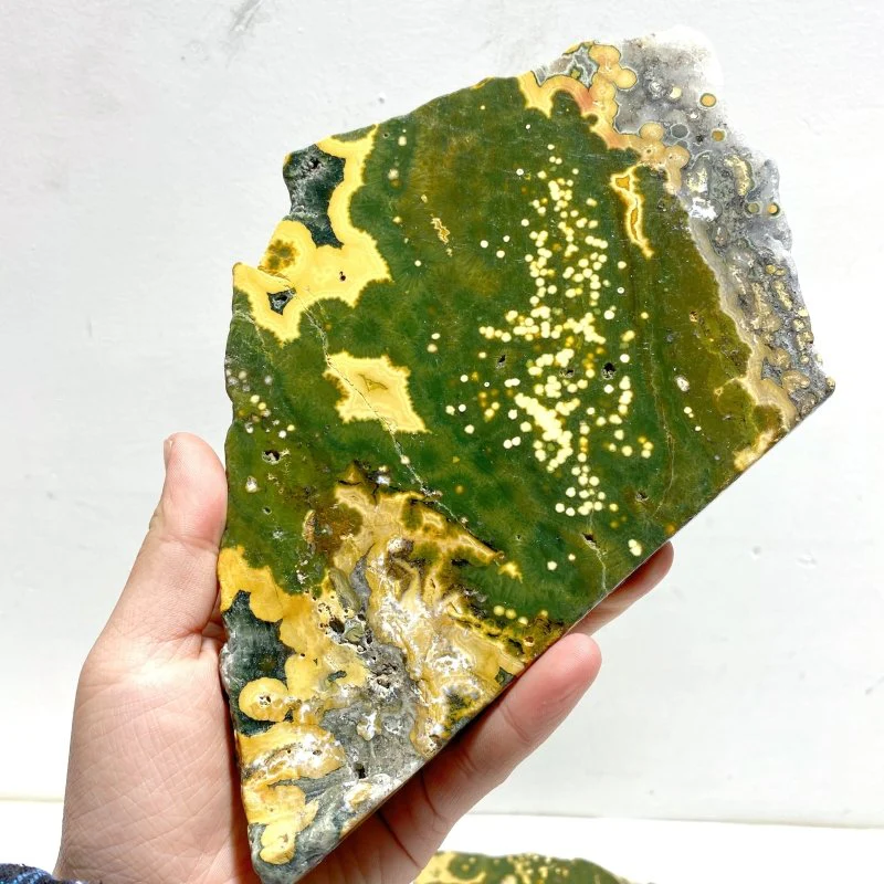5 Pieces Large 8th Vein Ocean Jasper Slabs - Image 4