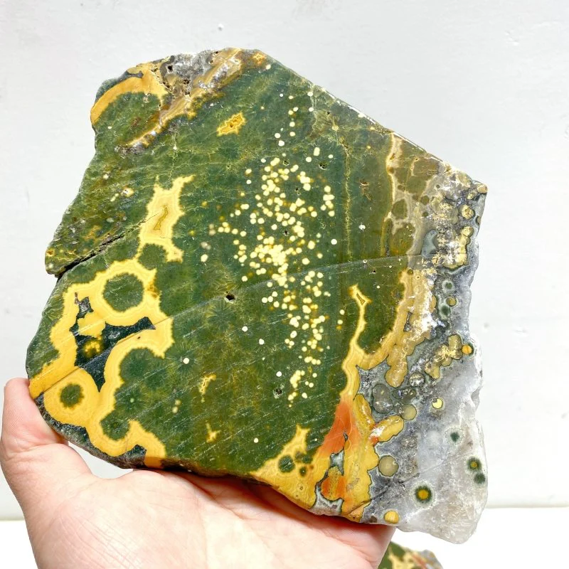 5 Pieces Large 8th Vein Ocean Jasper Slabs - Image 5