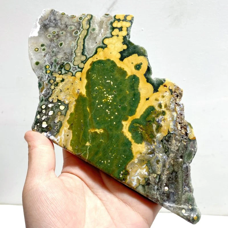 5 Pieces Large 8th Vein Ocean Jasper Slabs - Image 4