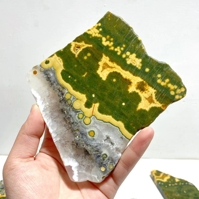 5 Pieces Large 8th Vein Ocean Jasper Slabs - Image 5