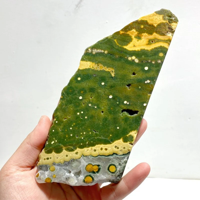 5 Pieces Large 8th Vein Ocean Jasper Slabs - Image 6