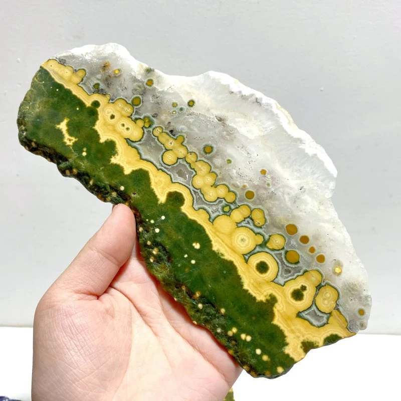 6 Pieces Large 8th Vein Ocean Jasper Slabs - Image 6