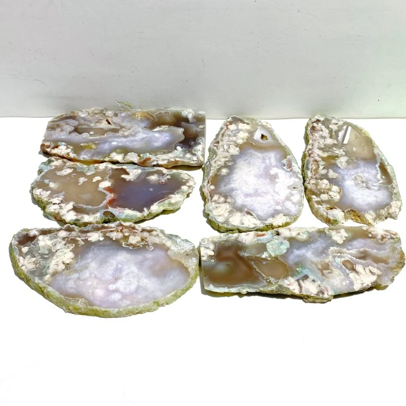 6 Pieces Large Green Sakura Flower Agate Slabs