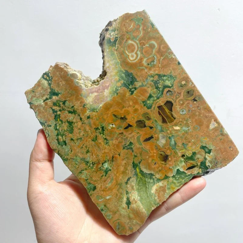 6 Pieces Peacock Eye Rain Forest Jasper Slab - Image 2