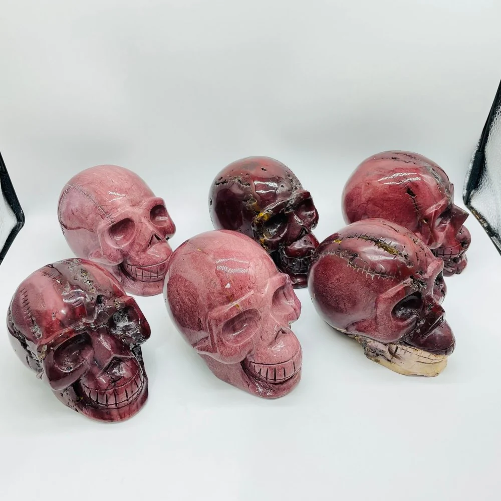 6 Pieces Large Petrified Wood Skull Carving - Image 4