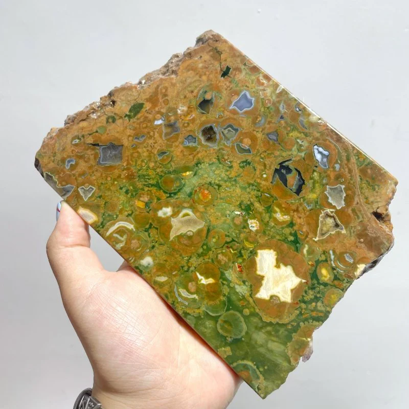 7 Pieces Peacock Eye Rain Forest Jasper Slab - Image 6