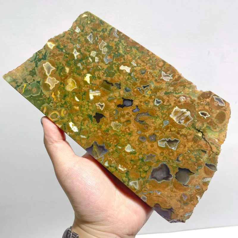 7 Pieces Peacock Eye Rain Forest Jasper Slab - Image 2