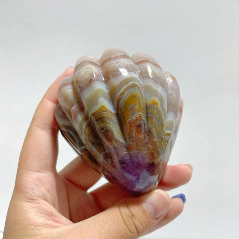 8 Pieces Amethyst Mixed Stripe Agate Shell Carving (Defect) - Image 5