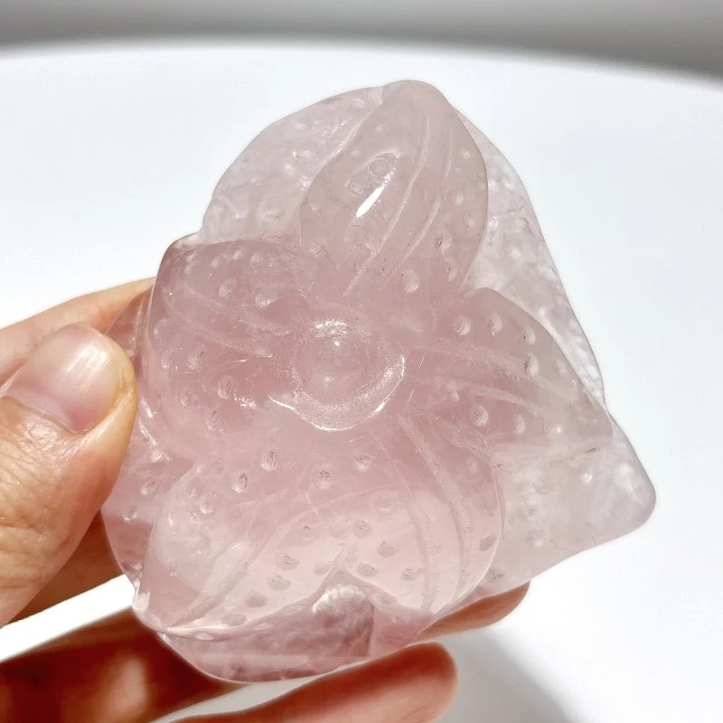 8 Pieces Beautiful Rose Quartz Sea Animals Carving - Image 6