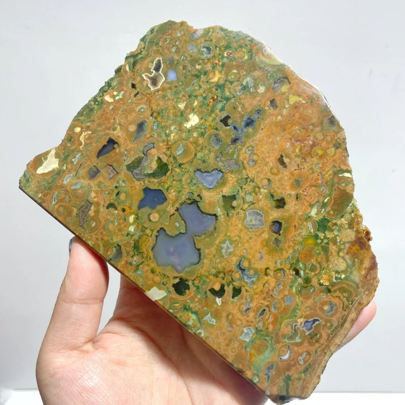 8 Pieces Peacock Eye Rain Forest Jasper Slab - Image 7
