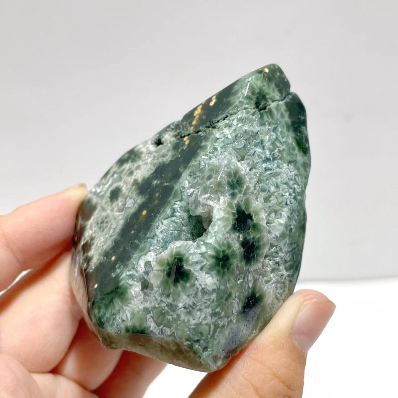 8 Pieces 8th Vein Ocean Jasper Free Form Mixed Size #A05 - Image 5