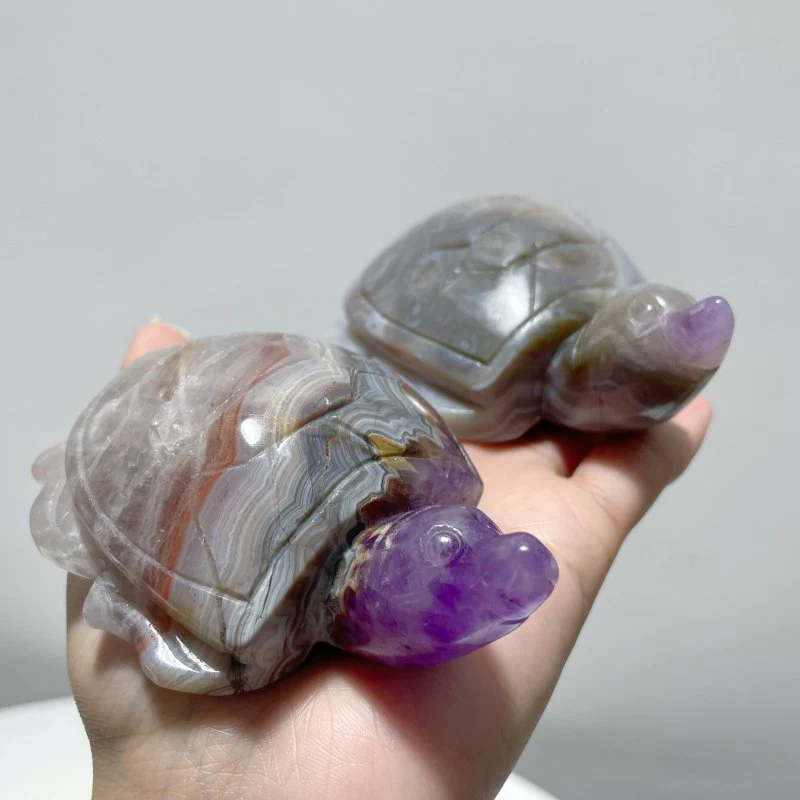 11 Pieces Amethyst Mixed Agate Turtle Carving - Image 5