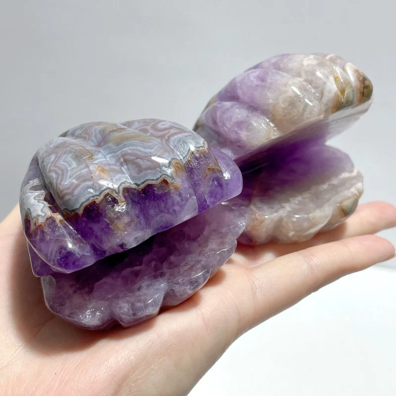 12 Pieces Amethyst Mixed Stripe Agate Shell Carving
