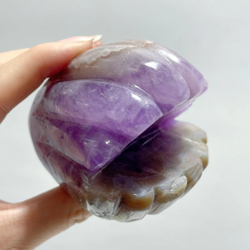 12 Pieces Amethyst Mixed Stripe Agate Shell Carving - Image 4