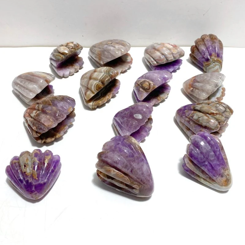 14 Pieces Amethyst Mixed Stripe Agate Shell Carving
