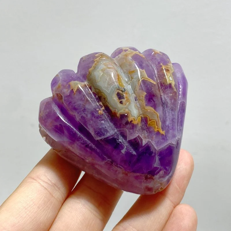 14 Pieces Amethyst Mixed Stripe Agate Shell Carving - Image 2