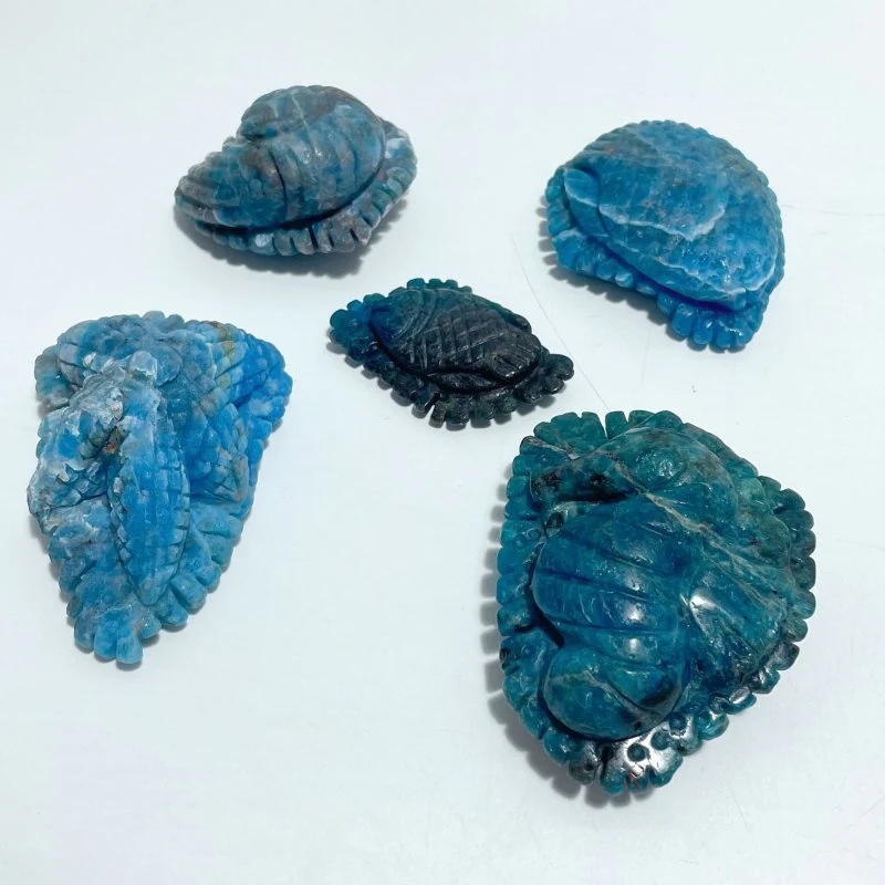 5 Pieces Apatite Sea Animals Carving