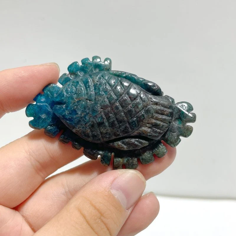 5 Pieces Apatite Sea Animals Carving - Image 2